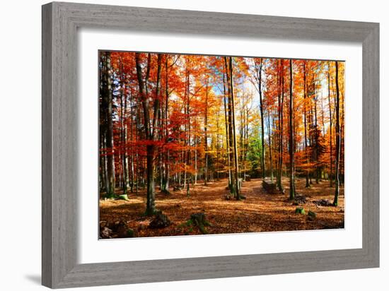 Colorful World-Philippe Sainte-Laudy-Framed Photographic Print