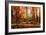 Colorful World-Philippe Sainte-Laudy-Framed Photographic Print