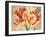 Colori II-Pamela Gladding-Framed Art Print