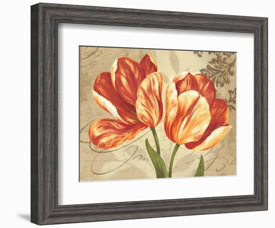 Colori II-Pamela Gladding-Framed Art Print