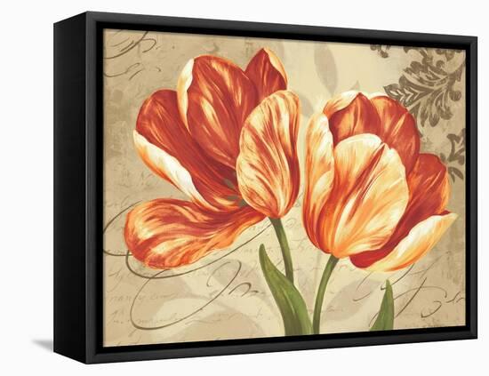 Colori II-Pamela Gladding-Framed Stretched Canvas