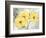 Colori Yellow I-Pamela Gladding-Framed Art Print