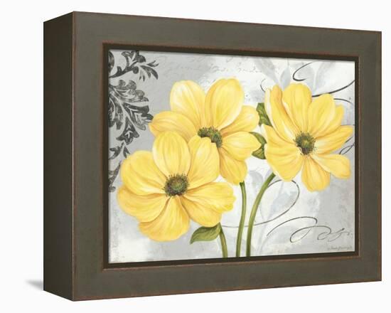 Colori Yellow I-Pamela Gladding-Framed Stretched Canvas