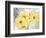 Colori Yellow I-Pamela Gladding-Framed Premium Giclee Print