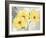 Colori Yellow I-Pamela Gladding-Framed Art Print