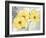 Colori Yellow I-Pamela Gladding-Framed Art Print