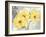 Colori Yellow I-Pamela Gladding-Framed Art Print