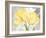 Colori Yellow II-Pamela Gladding-Framed Art Print