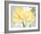 Colori Yellow II-Pamela Gladding-Framed Art Print