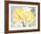 Colori Yellow II-Pamela Gladding-Framed Art Print