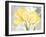 Colori Yellow II-Pamela Gladding-Framed Art Print