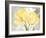 Colori Yellow II-Pamela Gladding-Framed Art Print