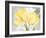 Colori Yellow II-Pamela Gladding-Framed Art Print