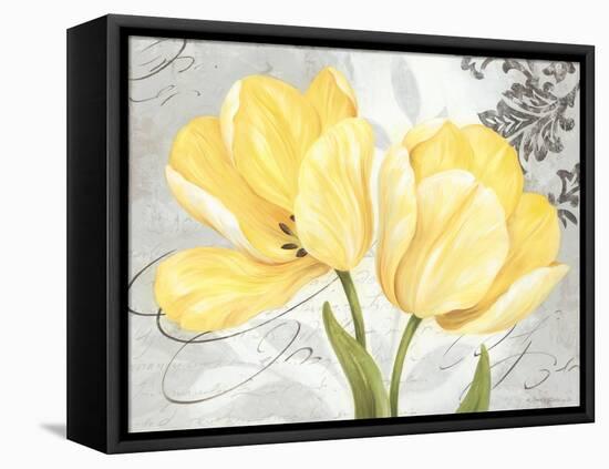 Colori Yellow II-Pamela Gladding-Framed Stretched Canvas