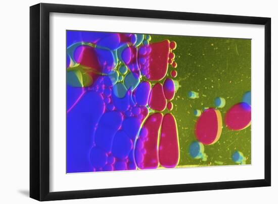 Colors And Shapes (4)-Incredi-Framed Giclee Print