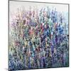 Colors in Bloom-Tim O'toole-Mounted Giclee Print