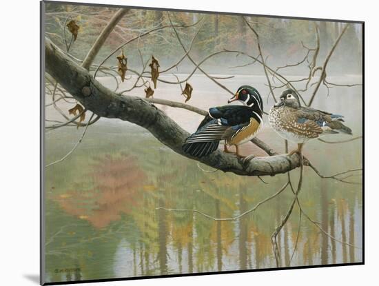 Colors of Autumn-Michael Budden-Mounted Giclee Print