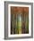Colors of Fall II-Mark Pulliam-Framed Giclee Print