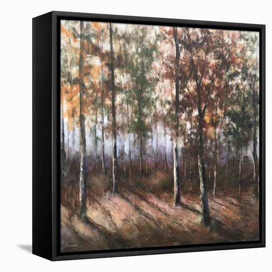 Colors of Fall-David Swanagin-Framed Stretched Canvas