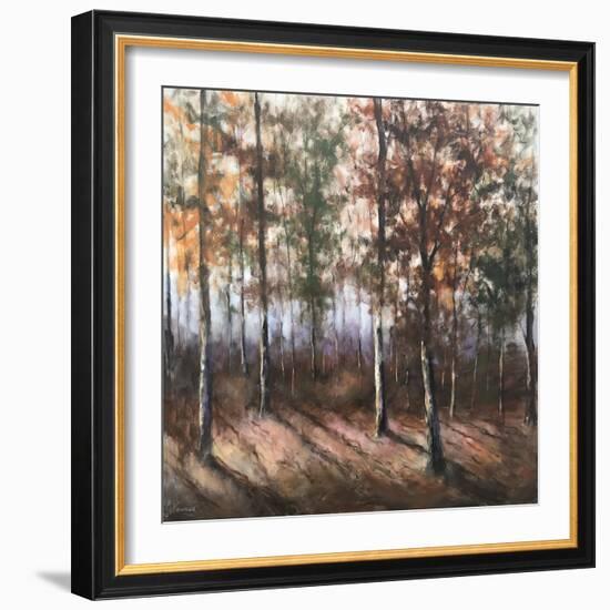 Colors of Fall-David Swanagin-Framed Art Print