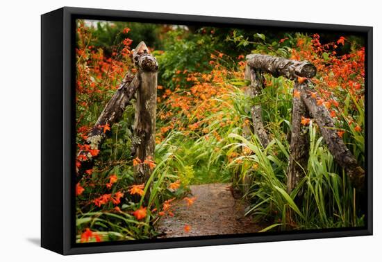 Colors of Nature-Philippe Sainte-Laudy-Framed Premier Image Canvas