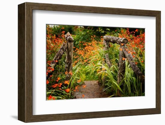 Colors of Nature-Philippe Sainte-Laudy-Framed Photographic Print