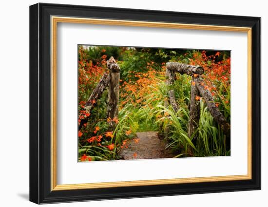 Colors of Nature-Philippe Sainte-Laudy-Framed Photographic Print