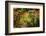 Colors of Nature-Philippe Sainte-Laudy-Framed Photographic Print