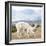 Colors of Peru - Alpaca Family-Philippe HUGONNARD-Framed Photographic Print