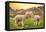 Colors of Peru - Alpaca Love-Philippe HUGONNARD-Framed Premier Image Canvas