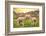 Colors of Peru - Alpaca Love-Philippe HUGONNARD-Framed Photographic Print