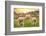 Colors of Peru - Alpaca Love-Philippe HUGONNARD-Framed Photographic Print