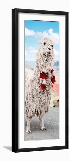 Colors of Peru - Alpaca Suri-Philippe HUGONNARD-Framed Photographic Print