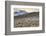 Colors of Peru - Andes Llamas-Philippe HUGONNARD-Framed Photographic Print