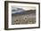 Colors of Peru - Andes Llamas-Philippe HUGONNARD-Framed Photographic Print