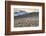 Colors of Peru - Andes Llamas-Philippe HUGONNARD-Framed Photographic Print