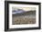 Colors of Peru - Andes Llamas-Philippe HUGONNARD-Framed Photographic Print