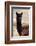 Colors of Peru - Black Alpaca-Philippe HUGONNARD-Framed Photographic Print