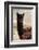 Colors of Peru - Black Alpaca-Philippe HUGONNARD-Framed Photographic Print