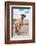 Colors of Peru - Brown Alpaca-Philippe HUGONNARD-Framed Photographic Print