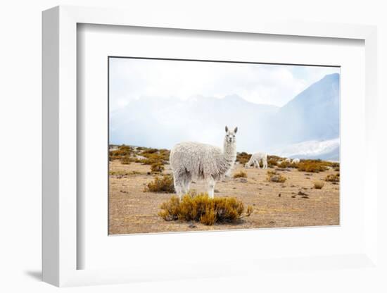 Colors of Peru - Diamonds of the Andes-Philippe HUGONNARD-Framed Photographic Print