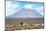 Colors of Peru - El Misti Volcano-Philippe HUGONNARD-Mounted Photographic Print