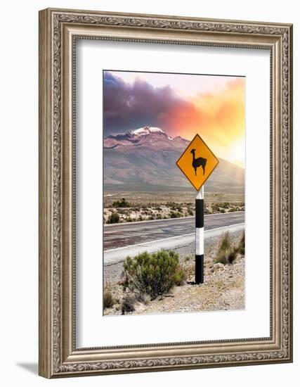 Colors of Peru - Llama Warning-Philippe HUGONNARD-Framed Photographic Print