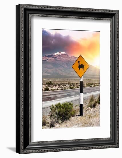 Colors of Peru - Llama Warning-Philippe HUGONNARD-Framed Photographic Print