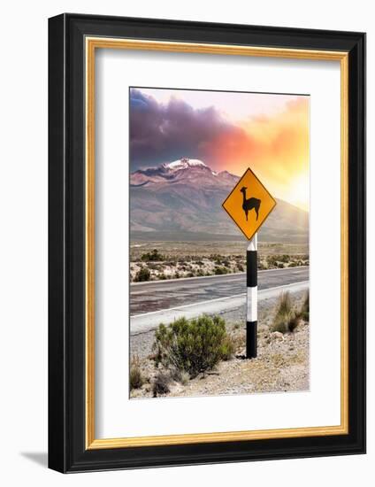 Colors of Peru - Llama Warning-Philippe HUGONNARD-Framed Photographic Print