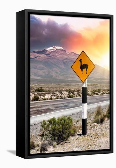 Colors of Peru - Llama Warning-Philippe HUGONNARD-Framed Premier Image Canvas