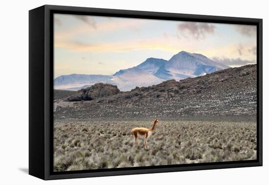 Colors of Peru - Lonely-Philippe HUGONNARD-Framed Premier Image Canvas