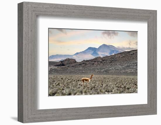 Colors of Peru - Lonely-Philippe HUGONNARD-Framed Photographic Print