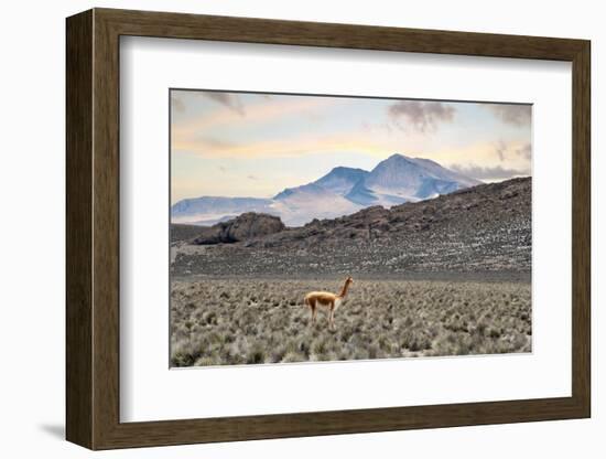 Colors of Peru - Lonely-Philippe HUGONNARD-Framed Photographic Print