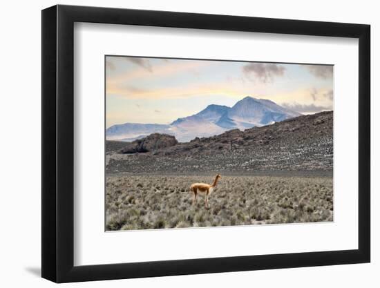 Colors of Peru - Lonely-Philippe HUGONNARD-Framed Photographic Print
